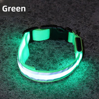 USB Rechargeable LED Reflective Dog Collar for Night Safety