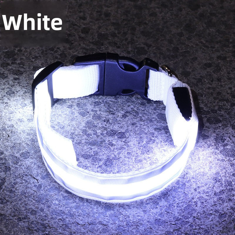 USB Rechargeable LED Reflective Dog Collar for Night Safety