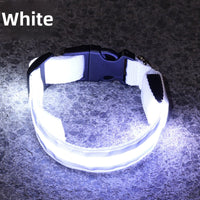 USB Rechargeable LED Reflective Dog Collar for Night Safety