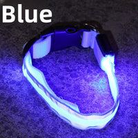 USB Rechargeable LED Reflective Dog Collar for Night Safety
