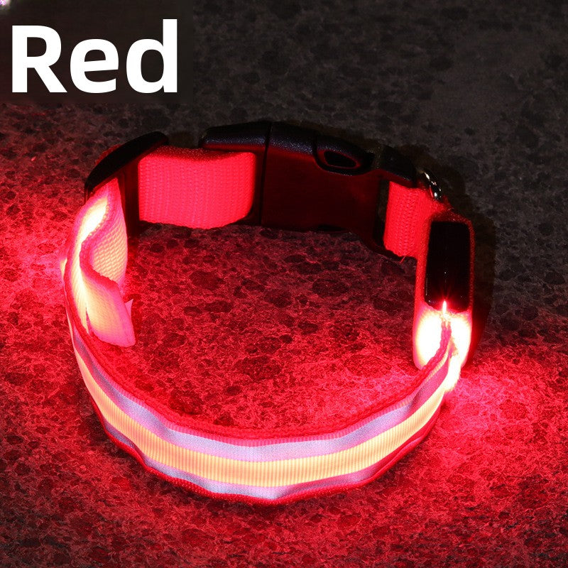 USB Rechargeable LED Reflective Dog Collar for Night Safety