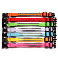 USB Rechargeable LED Reflective Dog Collar for Night Safety