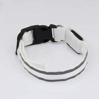 USB Rechargeable LED Reflective Dog Collar for Night Safety