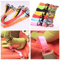 Adjustable Dog Car Safety Seat Belt Leash