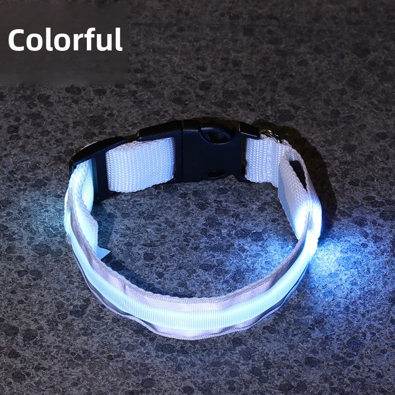 USB Rechargeable LED Reflective Dog Collar for Night Safety