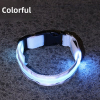 USB Rechargeable LED Reflective Dog Collar for Night Safety