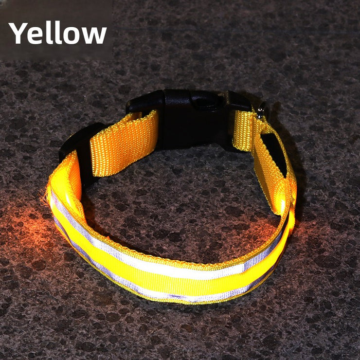 USB Rechargeable LED Reflective Dog Collar for Night Safety